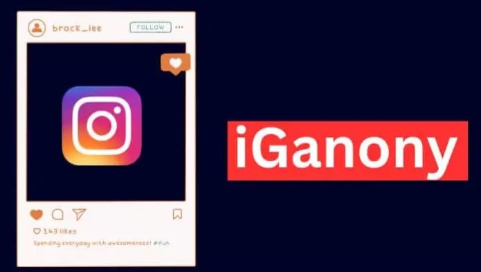 How Does IgAnony Work?