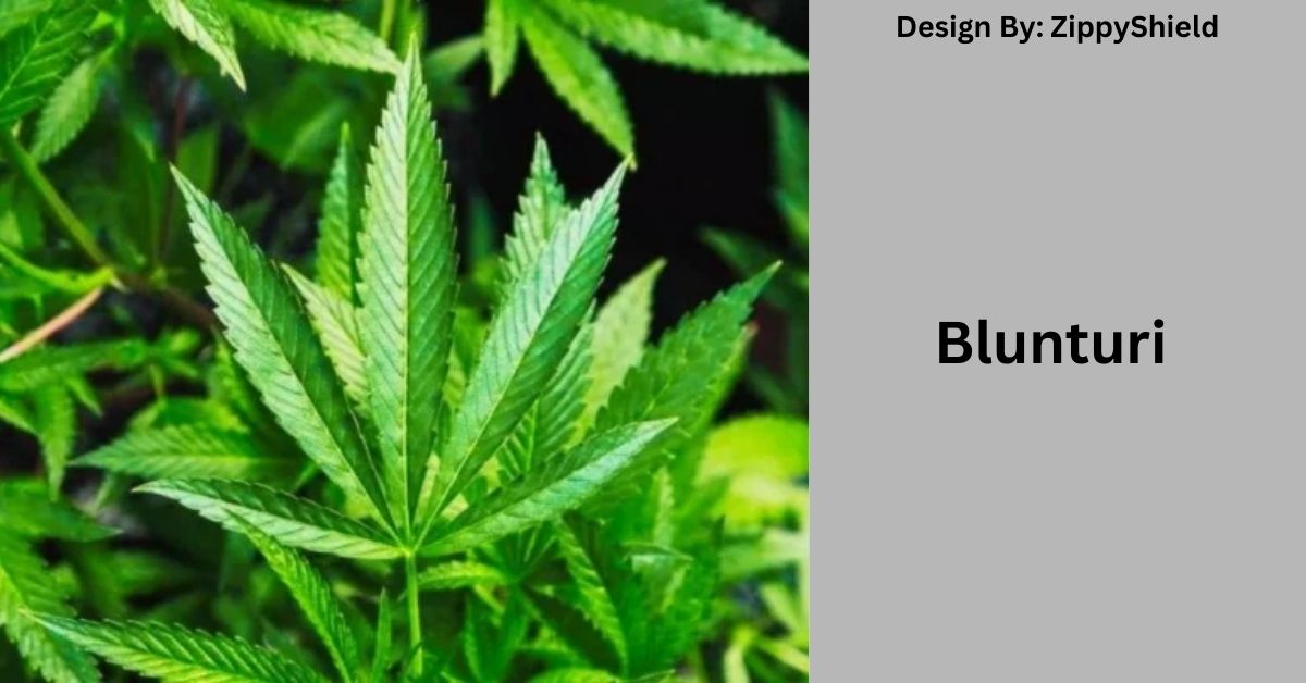 Blunturi – A Symbol of Sophistication!