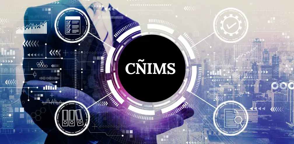 Computational Complexity and Optimization of Cñims