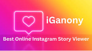 How to Use IgAnony?